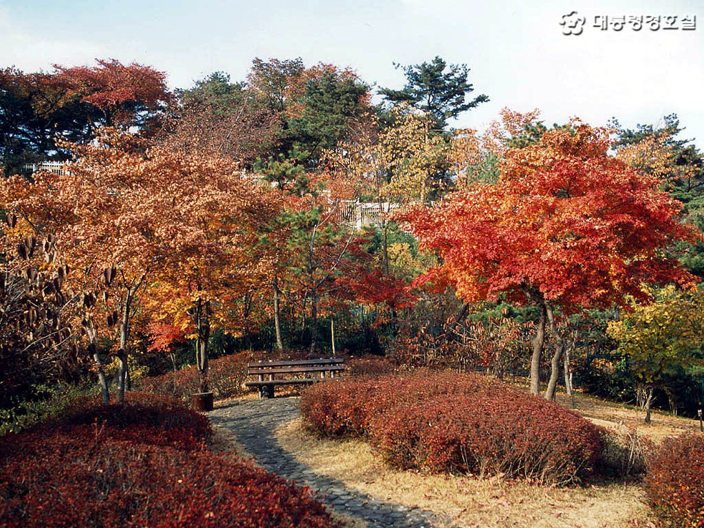Bukhansan山在秋天在韩国 库存图片. 图片 包括有 日落, 峰顶, 本质, 汉城, 蓝色, 公园 - 93339707